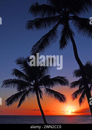 Farbenfroher Sonnenuntergang und Palmen über dem pazifik am poipu Beach, Kauai, hawaii Stockfoto