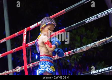 Koh Chang, Thailand. Februar 2024. Ein thailändischer Boxer wird im Boxring gesehen, während er die „Wai Khru“ bei der wöchentlichen Muay Thai Fights Show in Koh Chang aufführt. Wai Khru RAM Muay, oft kurz „Wai Khru“ oder „RAM Muay“, ist ein Ritual, das von Muay Thai-Kämpfern im Ring durchgeführt wird, bevor der eigentliche Kampf beginnt. (Foto: Nathalie Jamois/SOPA Images/SIPA USA) Credit: SIPA USA/Alamy Live News Stockfoto