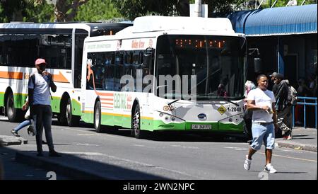 Kapstadt, Südafrika. Februar 2024. Passagiere besteigen einen BYD-Elektrobus in Kapstadt, Südafrika, 28. Februar 2024. In China hergestellte Elektrobusse wurden hier in den täglichen Betrieb von Golden Arrow Bus Services integriert. Quelle: Xabiso Mkhabela/Xinhua/Alamy Live News Stockfoto