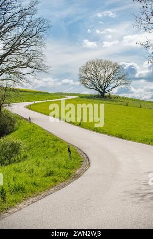 Die Bäume neben einer verwinkelten Landstraße in einer Landschaft in Runkel, Hessen Deutschland Stockfoto