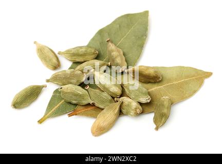 Grüne Kardamomschoten und aromatische Lorbeerblätter auf weißem Hintergrund Stockfoto