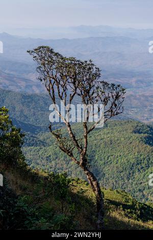 Besucher und Ausblicke auf den Doi Inthanon Nationalpark in der Provinz Chiang Mai, Thailand Stockfoto