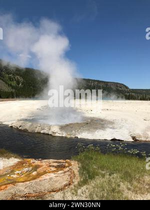 Ein Geysir im Yellowstone-Nationalpark Stockfoto