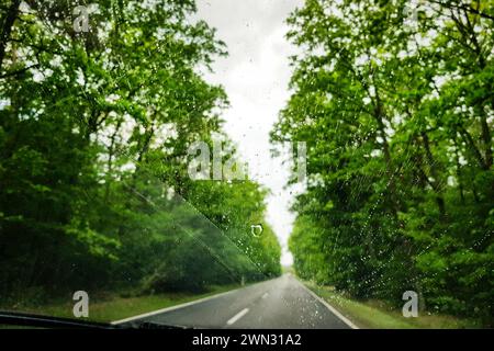 First-Person-Ansicht: Fahren durch einen Frühlingswald bei Regen. Fällt auf die Windschutzscheibe und unfokussierte Straße im Hintergrund – selektive Fokusaufnahme. Stockfoto