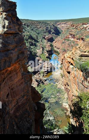 Panoramablick auf den Murchison River im Kalbarri Nationalpark vom Z-Bend Lookout, WA Stockfoto