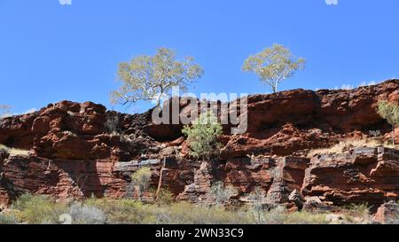 Die schiere Felswand der Dales Gorge in Karijini NP, WA Stockfoto