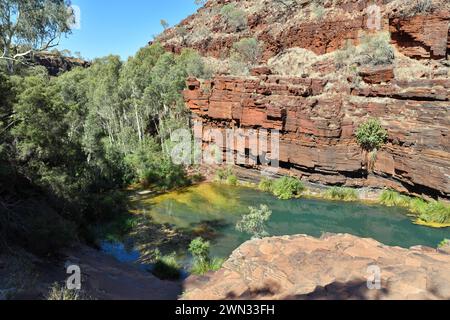 Der Pool am Fuße der Fortescue Falls im Karijini NP ist ein weiterer herrlicher Badeort im Park Stockfoto