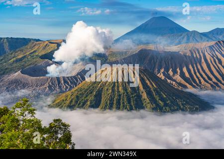 Mount Bromo Vulkan während Sonnenaufgang Stockfoto
