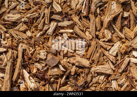 Mulchtextur Hintergrund, Stücke von Holzschicht Material auf der Oberfläche des Bodens Stockfoto