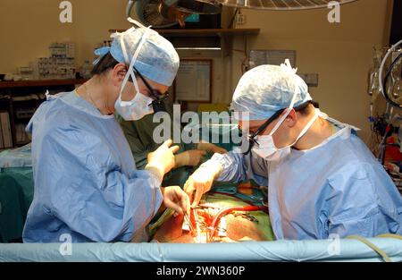 Der Chirurg Cirro Campanella, links, führt eine Operation des offenen Herzens im Edinburgh Royal Infirmary in Schottland durch. Stockfoto