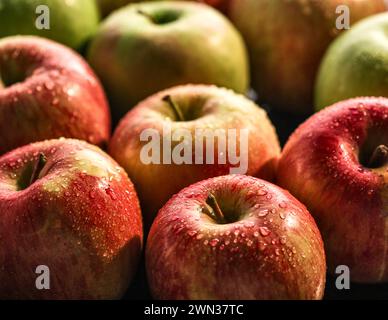Nahaufnahme frischer roter und grüner Äpfel mit Wassertröpfchen auf der Haut, auf einer dunklen Oberfläche angeordnet. Saftige, lebendige und natürliche Fruchtstruktur. Stockfoto