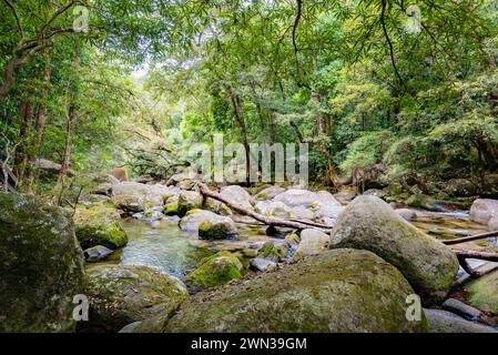 Der eiskalte Mossman River, tief in der tropischen Mossman Gorge im Daintree Rainforest und Nationalpark im hohen Norden von Queensland, Australien Stockfoto