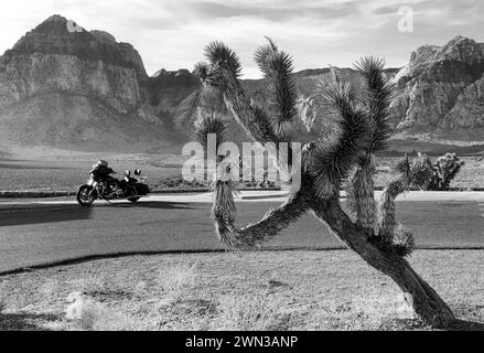 Wüstenlandschaft mit Motorrad, Bergen und einem joshua-Baum im Red Rocks Park in der Nähe von Las Vegas, Nevada Stockfoto