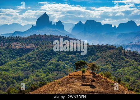 Fantastisches Panorama des Simien Mountains National Park in Äthiopien, Afrika atemberaubende afrikanische Landschaft von Äthiopien *** Atemberaubendes Panorama des Stockfoto