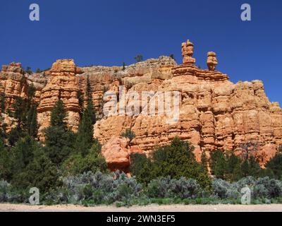 Red Canyon, Dixie National Forest, Garfield County, Utah, Usa Stockfoto