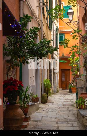 Die schöne enge Gasse/Straße mit Pflanzen und farbenfrohen Haus in Cinque Terre, Italien Stockfoto
