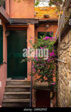 Die wunderschöne, schmale Gasse/Straße mit Blumen in Cinque Terre, Italien Stockfoto