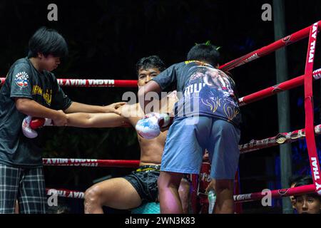 Koh Chang, Thailand. Februar 2024. Than bekommt eine Massage während der Pause der wöchentlichen Muay Thai Fights Show in Koh Chang. San Cheng besiegte Thana. Quelle: SOPA Images Limited/Alamy Live News Stockfoto