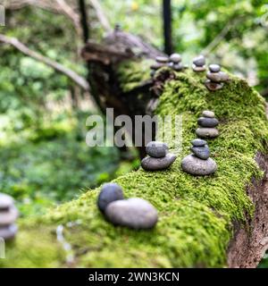 Kieselsteine auf einem Baumzweig Stockfoto