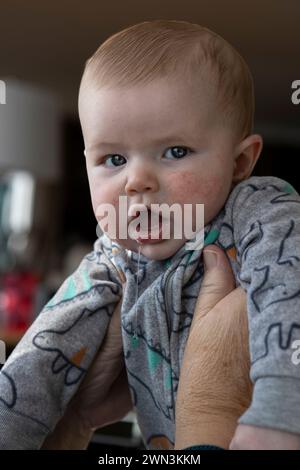 4 Monate alter Junge, der von erwachsenen Händen in der Luft gehalten wird. Stockfoto