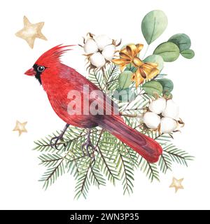 Aquarell Weihnachtskomposition mit rotem Kardinalvogel, Thuja-Zweigen, Baumwolle, Sternen, Bogen isoliert auf weißem Hintergrund. Handgezeichnete Abbildung für des Stockfoto