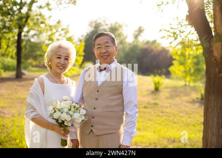 Glückliche Senioren Heiraten Stockfoto