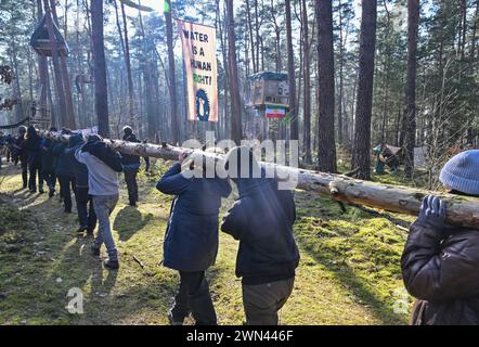 29. Februar 2024, Brandenburg, Grünheide: Aktivisten der Initiative „Stop Tesla“ tragen einen Baumstamm durch einen Kiefernwald in der Nähe der Tesla Gigafactory Berlin-Brandenburg. Rund 80 Aktivisten der Initiative „Stop Tesla“ haben ein Waldstück in der Nähe der Automobilfabrik in Grünheide in Brandenburg besetzt. Sie wollen gegen die geplante Fabrikerweiterung protestieren. Die Gruppe errichtete Baumhäuser auf dem rund 120 Hektar großen Waldstück, das für die Erweiterung des Geländes gerodet werden soll. Die Besetzung ist auf unbestimmte Zeit geplant, gemäß der Umwelt A Stockfoto