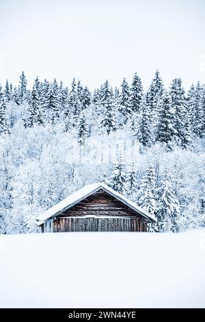 Eine rustikale hölzerne Scheune steht mit frischem Schnee bedeckt und vor dem Hintergrund eines dicht bewaldeten Hügels. Die schneebedeckten Bäume stehen im Kontrast zu den Scheunen Stockfoto