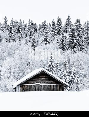 Eine rustikale hölzerne Scheune steht mit frischem Schnee bedeckt und vor dem Hintergrund eines dicht bewaldeten Hügels. Die schneebedeckten Bäume stehen im Kontrast zu den Scheunen Stockfoto