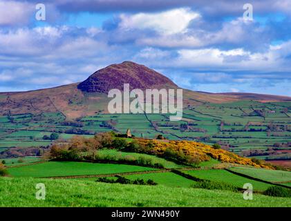 Slemish Mountain, County Antrim, Nordirland Stockfoto