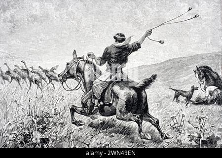 Werfen der Bolas Stich aus Journal of Researches von Charles Darwin veröffentlicht von Nelson & Sons 1890 / Throwing the Bolas Engraving from Journal Stockfoto