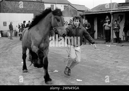 London 1980er Jahre Großbritannien. Southall wöchentlicher Pferdemarkt am Mittwoch. Mark Burnard zeigt ein Pferd. Traditionelle Chartermesse. Southall, Ealing, West London, England 1983. HOMER SYKES Stockfoto