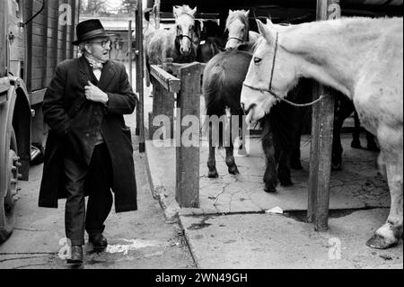 Ein älterer Zigeuner, der ein traditionell gebundenes Halstuch und einen Trilby-Hut trägt. Southall, Ealing, West London, England 1983. Southall wöchentlicher Pferdemarkt am Mittwoch, es war eine Chartermesse. London 1980er Jahre UK HOMER SYKES Stockfoto