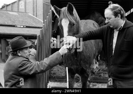 London UK Southall der 1980er Jahre, wöchentlicher Mittwoch Pferdemarkt, Charter Fair. Steven Bell (rechts) Pferdehändler in Southall. Southall, Ealing, West London, England 1983. HOMER SYKES Stockfoto