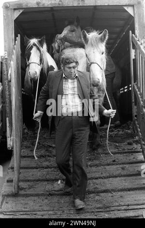 Southall wöchentlicher Pferdemarkt am Mittwoch. Ned Bassett führt Pferde von hinten auf seinem LKW die Rampe hinunter. Ned war ein Pferdehändler aus Carmarthen Wales und regelmäßig auf dem Wochenmarkt. Southall, Ealing, West London, England 1983 1980er Jahre, Großbritannien HOMER SYKES Stockfoto