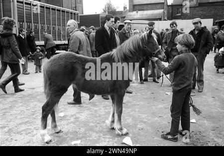 Southall wöchentlicher Pferdemarkt am Mittwoch. Jamie Gray mit Pony. Southall, Ealing, West London, England 1983 1980er Jahre, Großbritannien HOMER SYKES Stockfoto