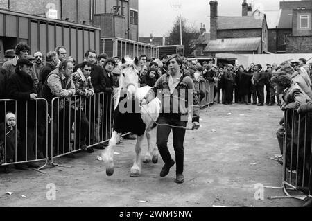 Southall wöchentlicher Pferdemarkt am Mittwoch. 17 Jahre alter Danny Stubbings mit Pferd auf Führerhaltung, zeigt das Pferd vor der Auktion. Sein Großvater machte Pferdehandel und die Familie leitete den Teestand, während Sie in den Auktionshof fuhren. Southall, West London, Ealing, England 1983 1980er Jahre, Großbritannien HOMER SYKES Stockfoto