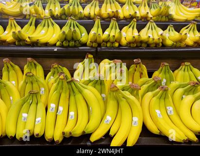 Bananenbündel in einem Supermarktregal im Gang. Stockfoto