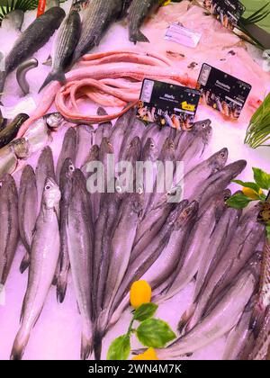 FRANKREICH, BORDEAUX, 9. Februar 2024: Auswahl an frischem Fisch täglich auf dem Eismarkt im Supermarkt Stockfoto