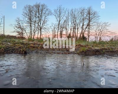 Winter im Siegerland. Der Tag startet wie hier bei Siegen-Oberschelden frostig aber schön schön schön. Baeume Bäume und eine gefrorene Pfuetze Pfütze Winter im Siegerland am 29.02.2024 in Siegen/Deutschland. *** Winter in Siegerland der Tag beginnt wie hier bei Siegen Oberschelden frostige, aber schöne Bäume und ein gefrorener Pfützenwintertag im Siegerland am 29 02 2024 in Siegen Deutschland Stockfoto