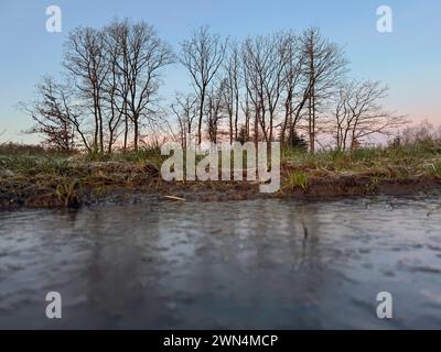 Winter im Siegerland. Der Tag startet wie hier bei Siegen-Oberschelden frostig aber schön schön schön. Baeume Bäume und eine gefrorene Pfuetze Pfütze Winter im Siegerland am 29.02.2024 in Siegen/Deutschland. *** Winter in Siegerland der Tag beginnt wie hier bei Siegen Oberschelden frostige, aber schöne Bäume und ein gefrorener Pfützenwintertag im Siegerland am 29 02 2024 in Siegen Deutschland Stockfoto