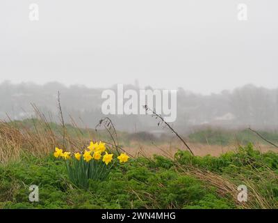 Sheerness, Kent, Großbritannien. Februar 2024. Wetter in Großbritannien: Ein nasser Nachmittag in Sheerness, Kent. Quelle: James Bell/Alamy Live News Stockfoto