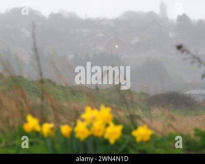 Sheerness, Kent, Großbritannien. Februar 2024. Wetter in Großbritannien: Ein nasser Nachmittag in Sheerness, Kent. Quelle: James Bell/Alamy Live News Stockfoto