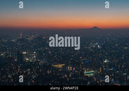 Aus der Vogelperspektive von Tokio in der Abenddämmerung, Japan. Stockfoto