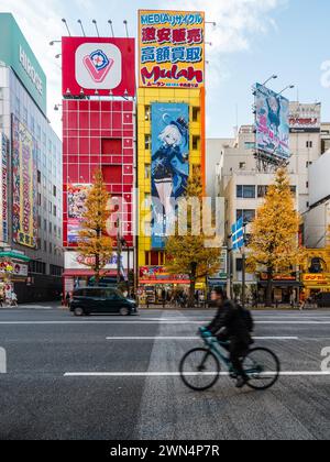Blick auf die Straße mit bunten Schildern und Plakatwänden in Akihabara während der Herbstsaison in Tokio, Japan. Stockfoto