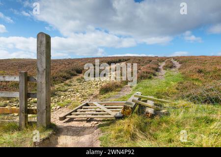 Zerbrochenes Tor und Zaun führen in Heidekraut unter hellem Himmel mit Wolken an einem schönen Morgen ohne Menschen in der Nähe von Goathland, Yorkshire, Großbritannien. Stockfoto