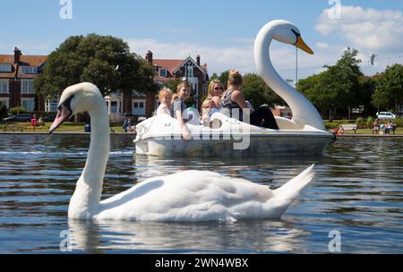 31/07/15 als das Sommerwetter endlich eintrifft, strömen die Menschen in Booten auf dem Southsea Canoe Lake in Hampshire nach Swan-around. Alle Rechte vorbehalten - F Stop PR Stockfoto