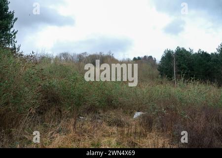 Die verlassenen Hänge des ehemaligen Sheffield Ski Village in Park Springs in South Yorkshire Stockfoto
