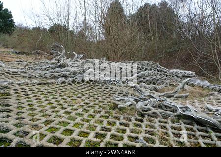 Die verlassenen Hänge des ehemaligen Sheffield Ski Village in Park Springs in South Yorkshire Stockfoto