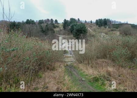 Die verlassenen Hänge des ehemaligen Sheffield Ski Village in Park Springs in South Yorkshire Stockfoto